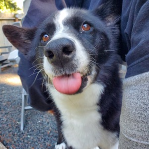 Richard Fenstermacher